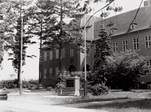 Senftenberg